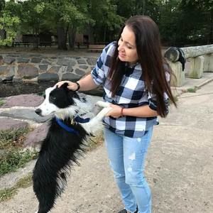 Meet your Posher, Sermin